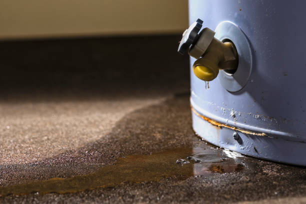  Eureka, CA Water damage restoration Pros