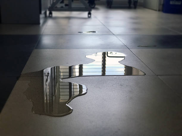 Best Water damage restoration near me  in Eureka, CA