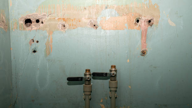 Best Fire Damage Restoration  in Eureka, CA