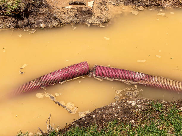 Water damage restoration experts in Eureka, CA